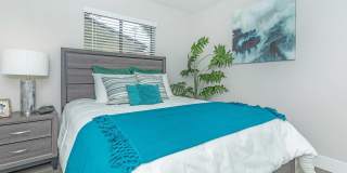 Solara Apartments Gallery 13
