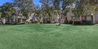 The Terrace Apartments Gallery 12