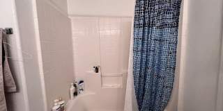 3 Br 2Ba House with Garage and fenced yard**FURNISHED** Gallery 17