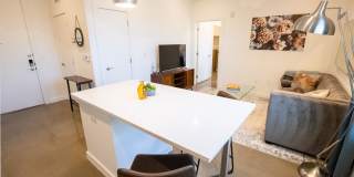 The Madison Gallery 33