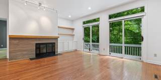 Bolin Creek 4 Bedroom House with Fabulous Forest Views Available May 15! Gallery 3