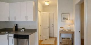 85 Harvard St. Gallery 6