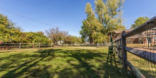 TGM Avalon Lake Gallery 25