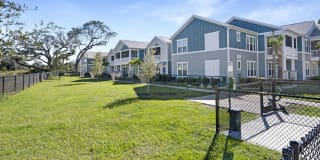 Springs at Hibiscus Crossing Gallery 9