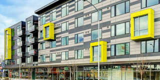 Janus Janus Gallery 21