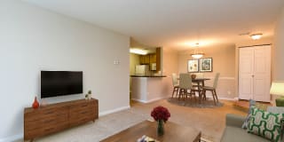 Avana Stoney Ridge Gallery 11