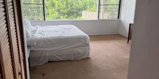 3 Bedroom 2 Bath Single Family Home with Pool Gallery 5