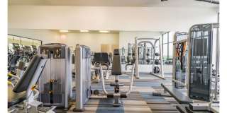 Reveal Skyline Gallery 17