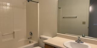 2946 W Ring Tail Drive Gallery 24