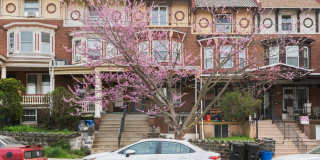 619 S 42ND Street Gallery 1