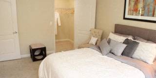 La Provence Gallery 10