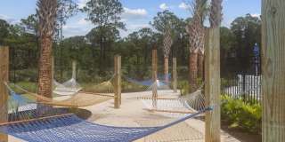 Eastshore Palm Bay Gallery 25