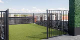 3106 Birch Lane Gallery 21