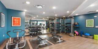 Venue on 16th Gallery 17