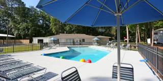 Prosper Azalea City Gallery 1