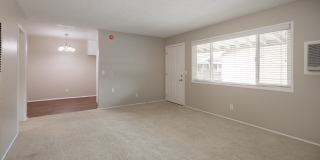 Towne Centre at Orange Gallery 5