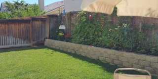 1669 Marina Way Gallery 30