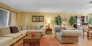3225 Mountain Spring Road Gallery 5