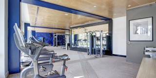 The Alamitos Gallery 12