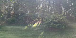 1680 Sleepy Hollow Gallery 68