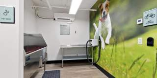 Avia Apartments on Pike Gallery 25