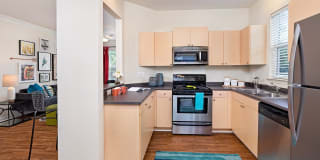 Bexley at Davidson Gallery 1