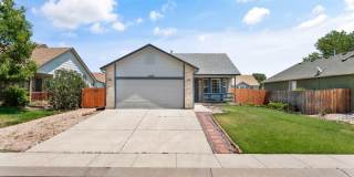 5164 Fennel Dr Gallery 2