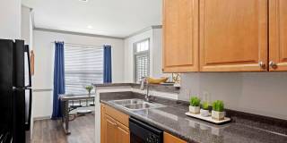 The Shallowford Gallery 15