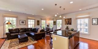 Recently Renovated Sunny and Bright 2br/2ba in Old Town Alexandria Gallery 1