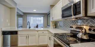 Verlaine on the Parkway Gallery 18