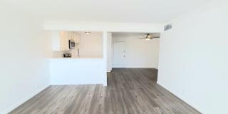 Annandale Terrace Gallery 9