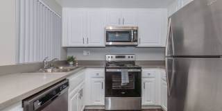 Club Pacifica Gallery 53