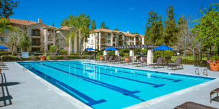 Central Park Gallery 21