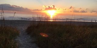 8718 Bay Court Gallery 19