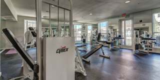 The Saulet Gallery 26