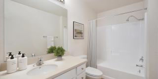 Brentwood Apartments Gallery 5