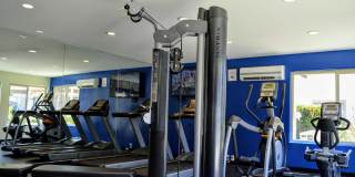 La Jolla Canyon Gallery 16