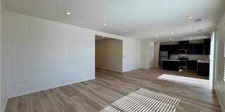 9643 Babaco Gallery 3
