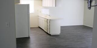 Beautiful large 2 bedroom 2 bath in New Port Richey Beautiful large 2 bedroom 2 bath in New Port Richey Gallery 15