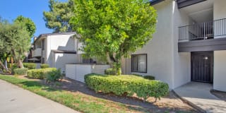 Chatsworth Pointe Gallery 29