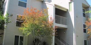 Creekside Villa Apartments Gallery 1