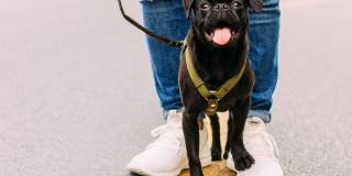 Southwest Gables Gallery 51