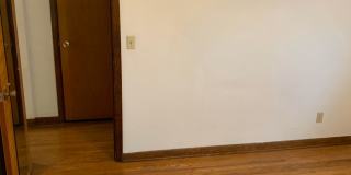 Nandale - Yellow Gallery 18