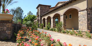 Cresta Bella Gallery 18