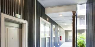 Thrive Argenta Gallery 58