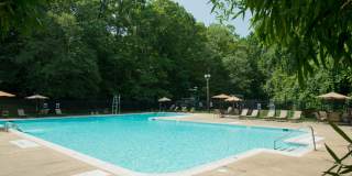 Crystal Woods Crystal Woods Gallery 1