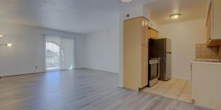 2 Bedroom, 2 Bath Gallery 6