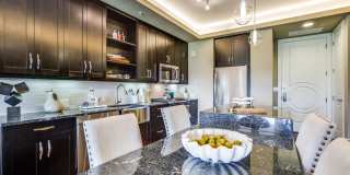 The Ivy Park Place Gallery 7