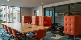 Belle on Bev Belle on Bev Gallery 57