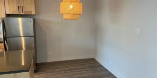Penthouse Gallery 18